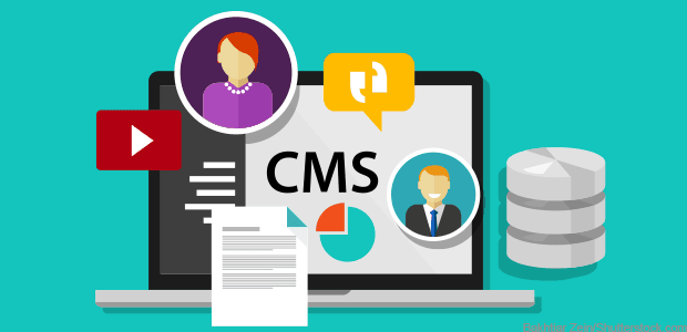 Web Application Framework vs. Content Management System (CMS)