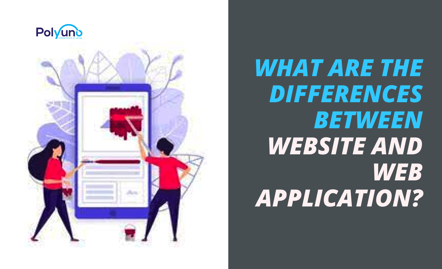 What Are The Differences Between Website And Web Application?